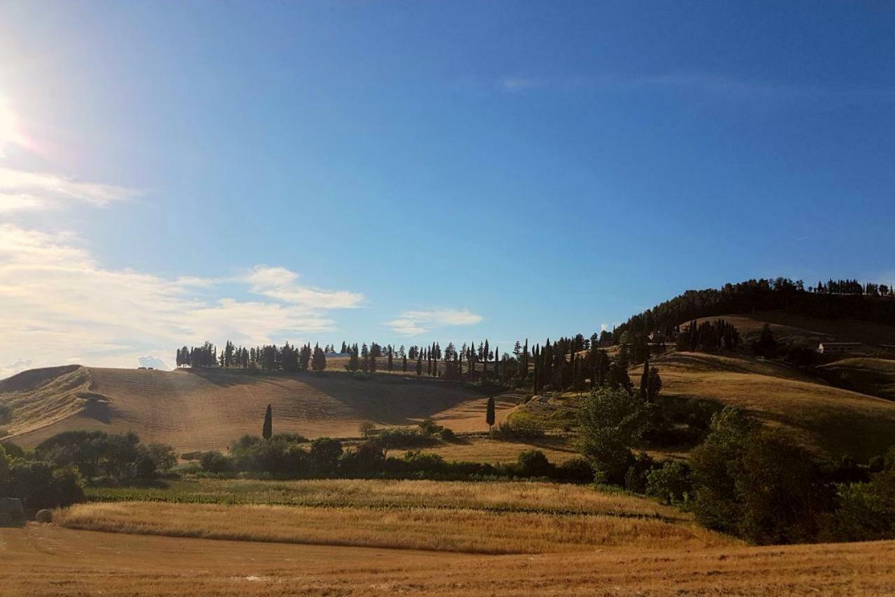 Agriturismo Podere Molino Peccioli ภายนอก รูปภาพ