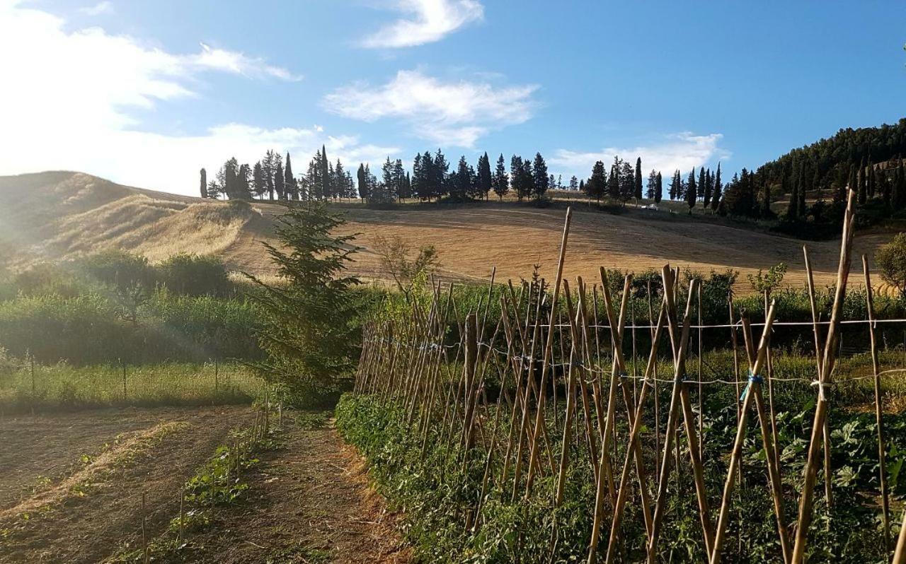 Agriturismo Podere Molino Peccioli ภายนอก รูปภาพ