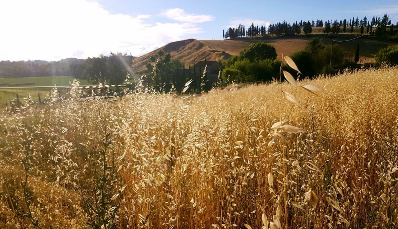 Agriturismo Podere Molino Peccioli ภายนอก รูปภาพ