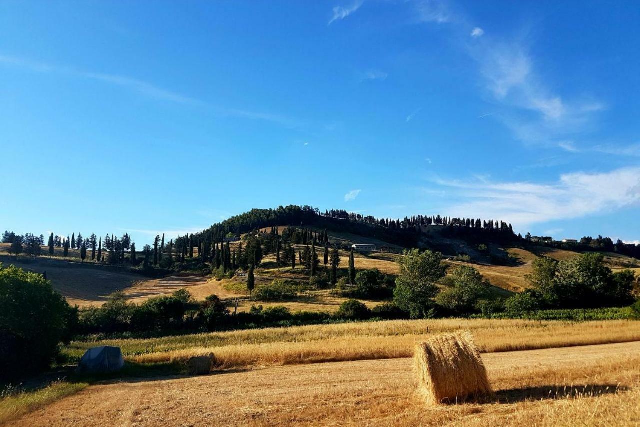 Agriturismo Podere Molino Peccioli ภายนอก รูปภาพ