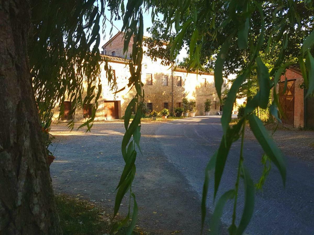 Agriturismo Podere Molino Peccioli ภายนอก รูปภาพ