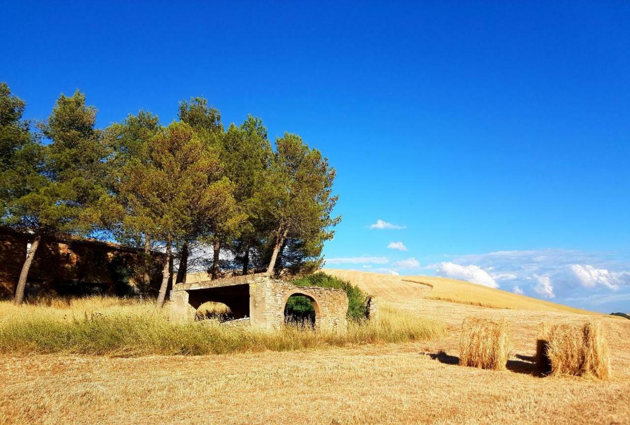 Agriturismo Podere Molino Peccioli ภายนอก รูปภาพ