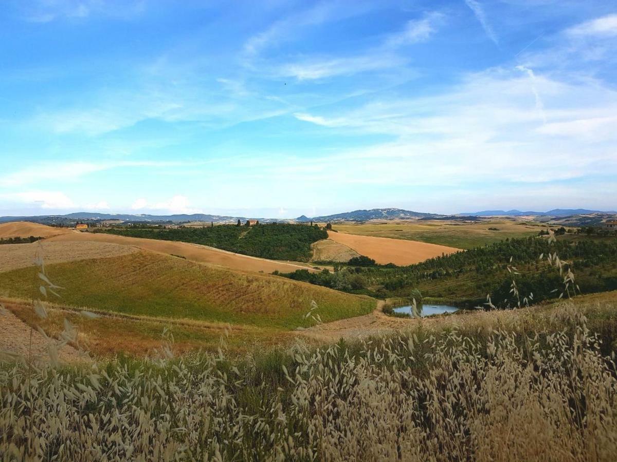 Agriturismo Podere Molino Peccioli ภายนอก รูปภาพ