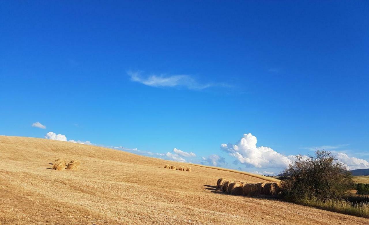 Agriturismo Podere Molino Peccioli ภายนอก รูปภาพ