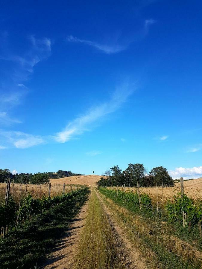 Agriturismo Podere Molino Peccioli ภายนอก รูปภาพ