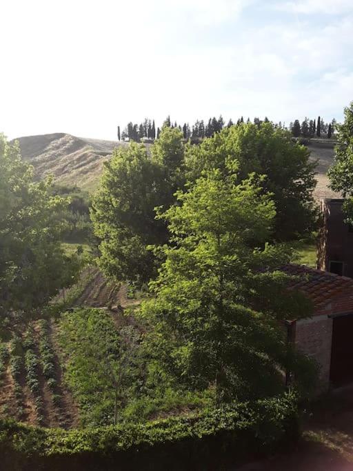 Agriturismo Podere Molino Peccioli ภายนอก รูปภาพ