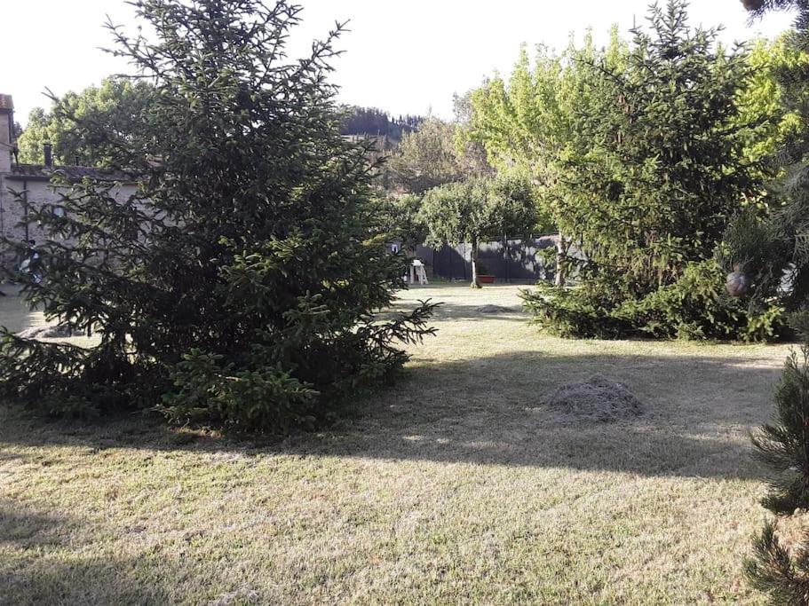 Agriturismo Podere Molino Peccioli ภายนอก รูปภาพ